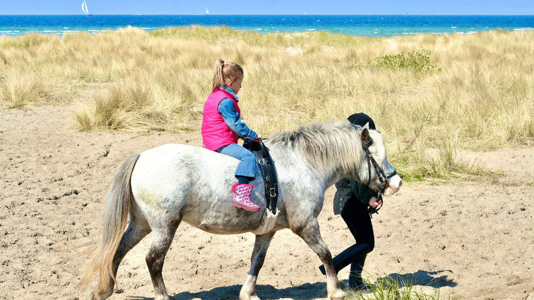 Pony-Reiten-am-Strand-fuer-die-ganze-Familie-Ferienwohnung-Strandliebe-Lutterbek