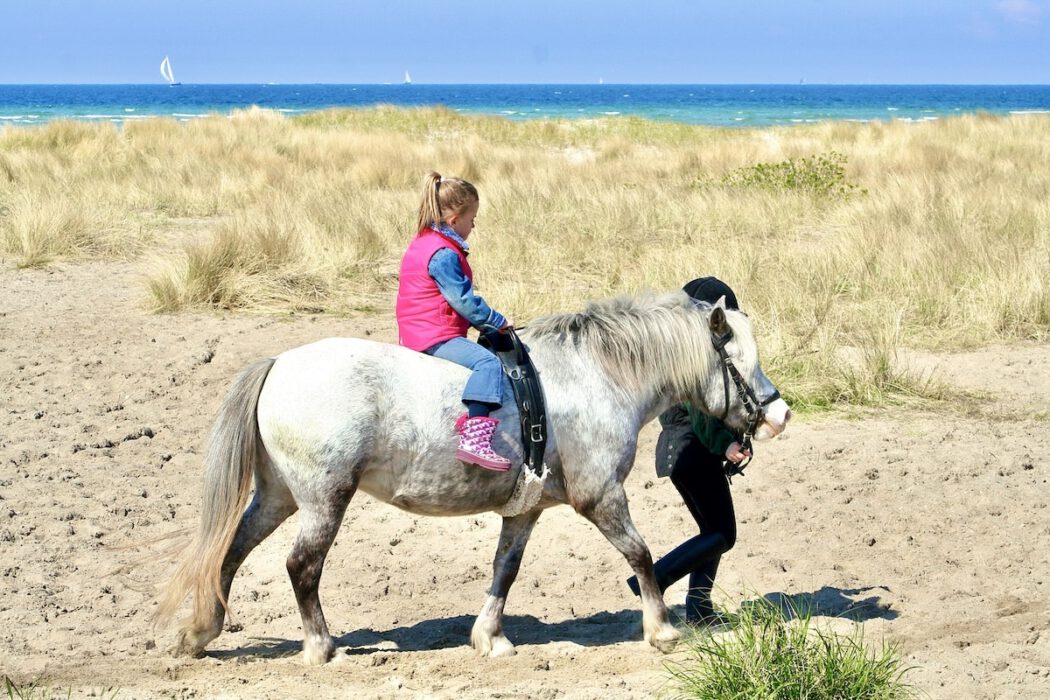 Pony Reiten am Strand fuer die ganze Familie Ferienwohnung Strandliebe Lutterbek